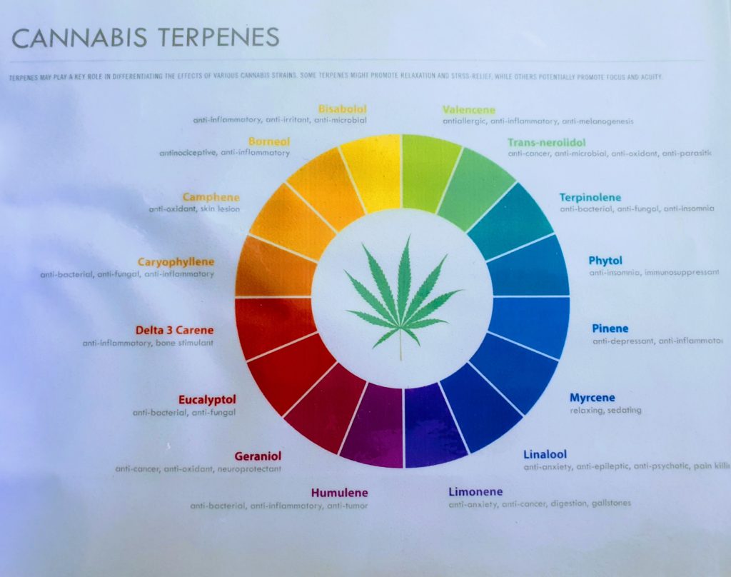 Cannabis Terpenes circular chart